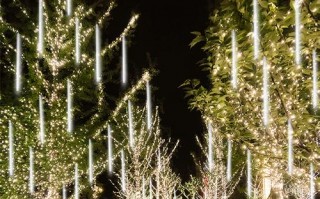 led灯带树装饰_景观led灯带