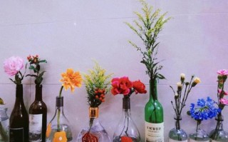 酒瓶改造花瓶种什么花