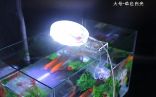 鱼缸led灯会发热吗