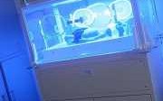 黄疸治疗箱蓝光作用 黄疸治疗箱LED灯