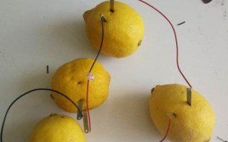 柠檬灯泡制作方法
