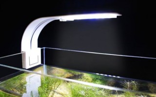 水草缸照明led灯多少瓦 水草缸照明led灯