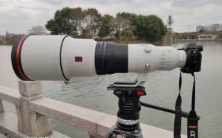 适合拍鸟的摄像机 可以照鸟的相机镜头
