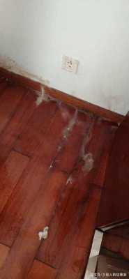  地板总往上渗水是为什么「地板总往上渗水是为什么呢」-第3张图片-DAWOOD LED频闪灯