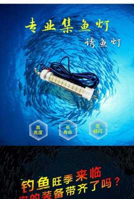 惠州led鱿钓灯-第1张图片-DAWOOD LED频闪灯