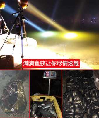 惠州led鱿钓灯-第2张图片-DAWOOD LED频闪灯