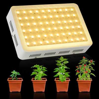 led灯对植物生长有用吗 植物防止徒长led灯-第2张图片-DAWOOD LED频闪灯