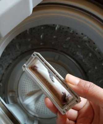  洗衣机的过滤网朝什么方向「洗衣机过滤网安装方法」-第3张图片-DAWOOD LED频闪灯