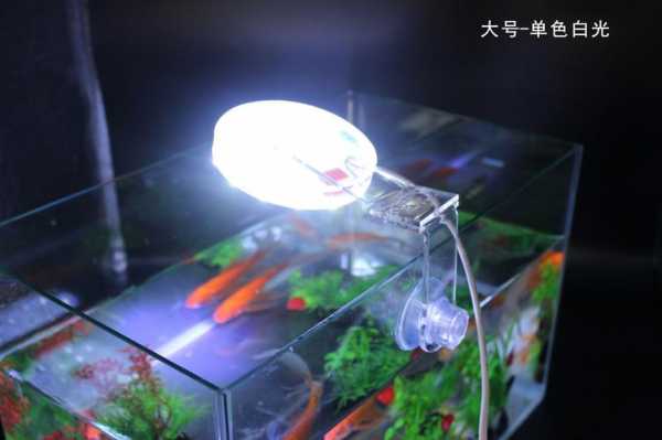 鱼缸led灯会发热吗-第1张图片-DAWOOD LED频闪灯
