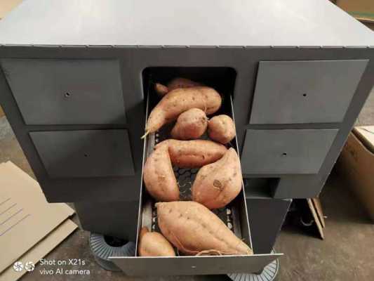 家庭烤红薯用什么工具好-第3张图片-DAWOOD LED频闪灯