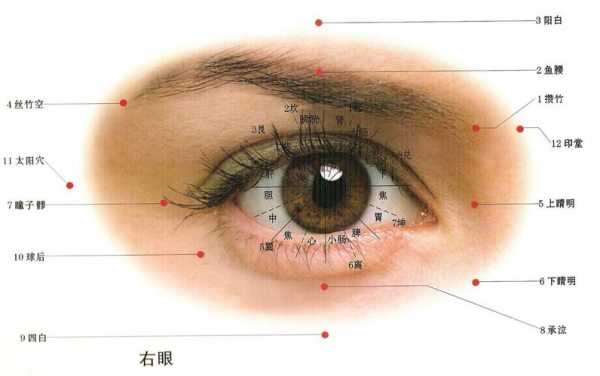 眼部按摩视力能提高多少呢（按摩手法恢复眼部视力的原理）-第3张图片-DAWOOD LED频闪灯
