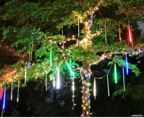 led灯树木装饰图（led景观树灯价格）-第2张图片-DAWOOD LED频闪灯